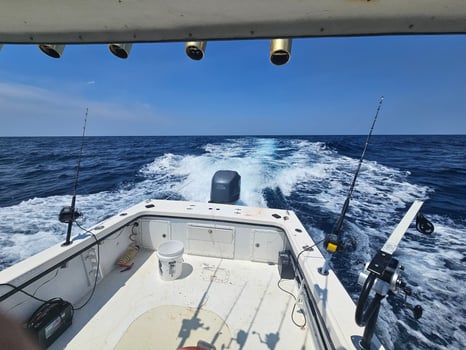 Boat photo for Full Day Offshore 