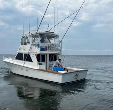 Boat photo for Inshore Fluke/Bass Trip