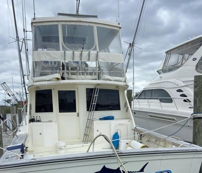 Boat photo for Inshore Fluke/Bass Trip