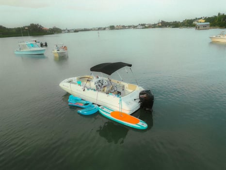Boat photo for Sandbar Excursions