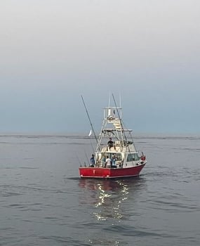 Boat photo for Friends Family Fishing - 5hr Trip