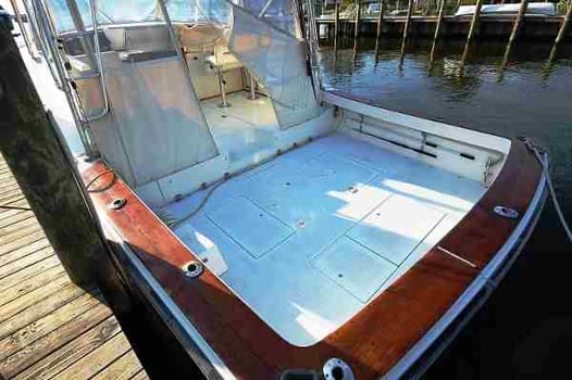 Boat photo for Striped Bass - Raritan Bay & Ocean