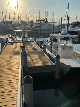 Boat photo for 4-8Hr Trip - The Ameracat