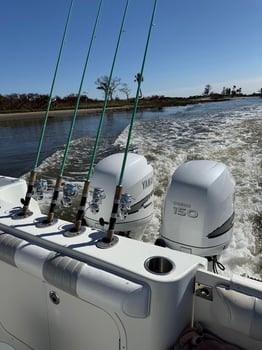 Boat photo for 4-8 Hours Fishing Trip Inshore