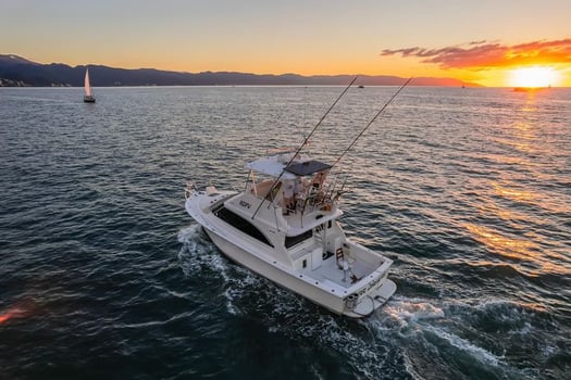 Boat photo for Ultimate 40 Ft Luxury Sportfisher 