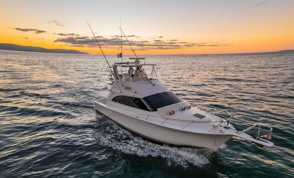 Boat photo for Ultimate 40 Ft Luxury Sportfisher 