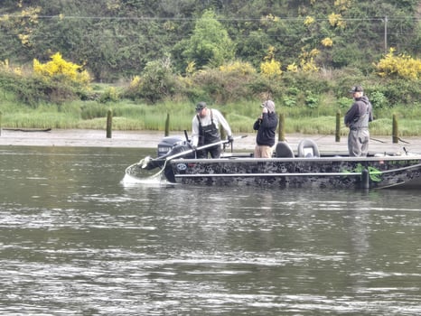 Boat photo for Fall Chinook Salmon Fishing 