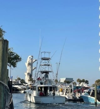 Boat photo for  Fort Lauderdale Offshore