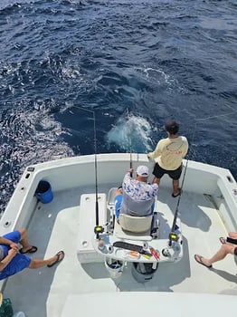 Boat photo for  Fort Lauderdale Offshore