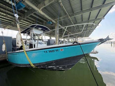 Boat photo for 2 Hour Beginners Trip