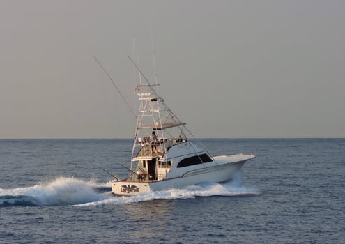 Boat photo for Kona Offshore Trip