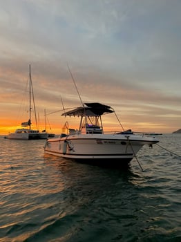 Boat photo for 4-9 Hour Trip