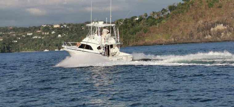 Boat photo for Half Day Inshore 