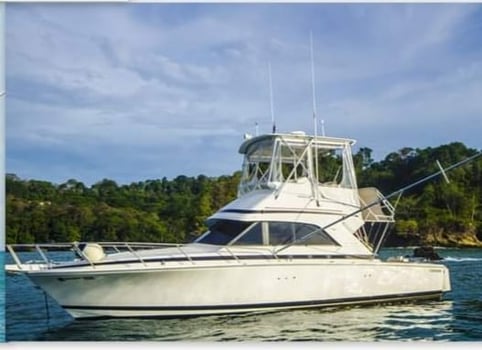 Boat photo for Full Day Inshore 