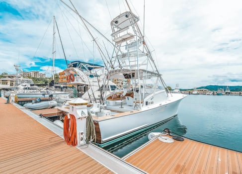 Boat photo for Offshore Trip - 40'