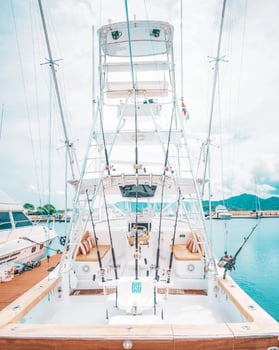 Boat photo for Offshore Trip - 40'