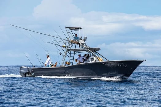 Boat photo for Offshore Trip - 34'