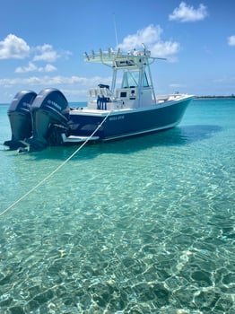 Boat photo for Rose Island Adventure 