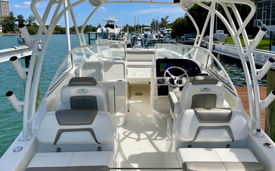 Boat photo for Dolphins And Snorkling