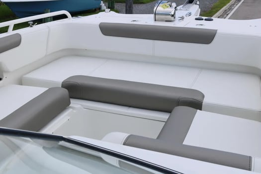 Boat photo for Dolphins And Snorkling