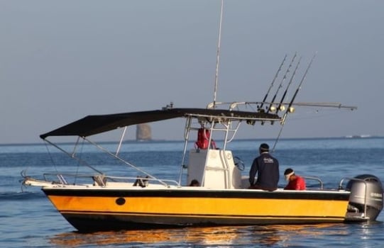 Boat photo for 4-8 Hour Trip - Sportfishing