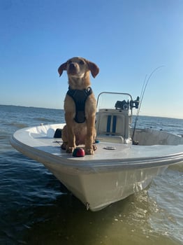 Boat photo for Inshore Charter