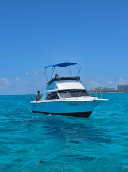 Boat photo for “Big Game Fishing”