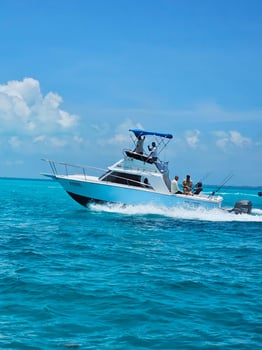 Boat photo for “Big Game Fishing”