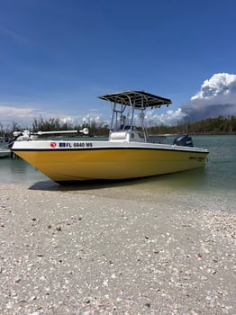 Boat photo for Dolphin, Manatees & Birdwatching 
