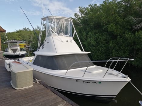 Boat photo for 4-8 Hrs Fishing Trip - 31' Bertram