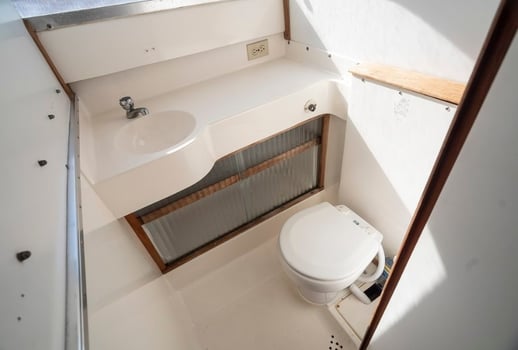 Boat photo for 4-8 Hrs Fishing Trip - 31' Bertram