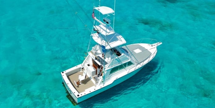 Boat photo for 4-10 Hrs Fishing Trip -40' Blackfin