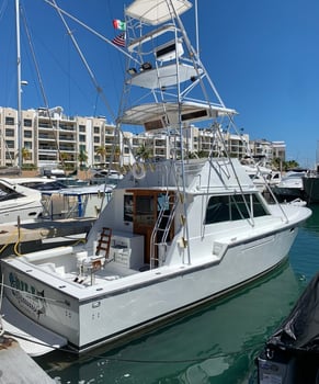 Boat photo for 4-10 Hrs Fishing Trip -40' Blackfin