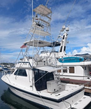Boat photo for Offshore Fishing Trip