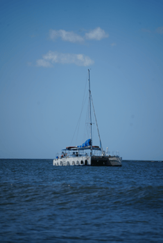 Boat photo for Public Sunset Catamaran