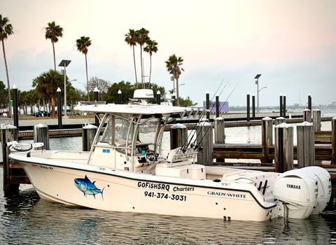 Boat photo for Sarasota Offshore W/ Capt Mike