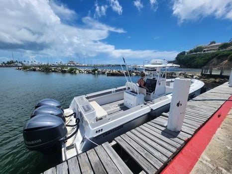 Boat photo for Professional Fishing & Beach 