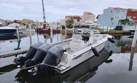 Boat photo for Professional Fishing & Beach 