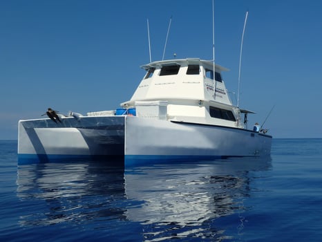 Boat photo for Dry Tortugas Multi-Day Trip