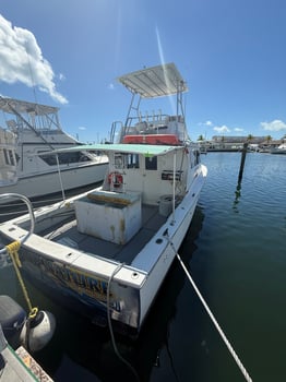 Boat photo for 6 Or 8-Hour Shark Trip