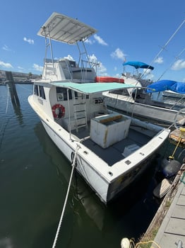 Boat photo for 6 Or 8-Hour Shark Trip
