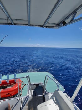 Boat photo for 6 Or 8-Hour Shark Trip