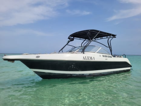 Boat photo for BOTTOM FISHING