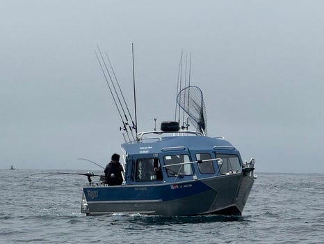 Boat photo for Sevengill, Soupfin, Leopard Shark 