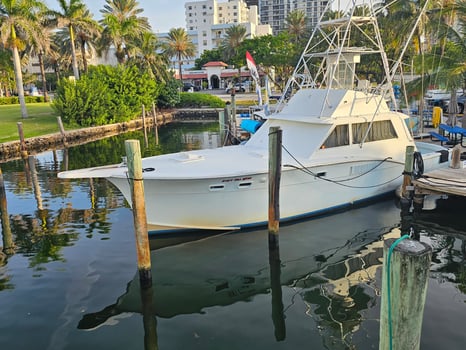 Boat photo for Half-Day Private Charter