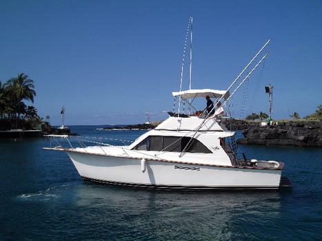 Boat photo for Offshore Fishing Trip
