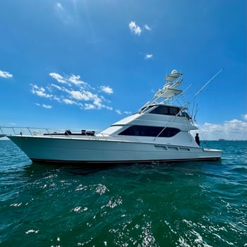 Boat photo for EXTREME SHARK FISHING