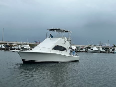 Boat photo for Offshore, Reef & Wreck, And Sunset