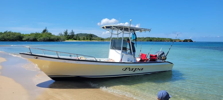 Boat photo for Offshore Fishing Trip - 24' Panga