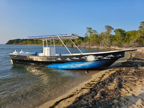 Boat photo for Offshore Fishing Trip - 32' Panga